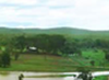 Mount Bundy Station, Caravans and Camping